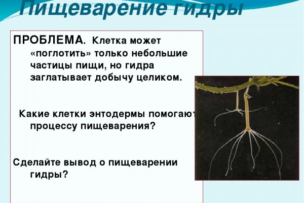 Как оформить оплату на меге через киви