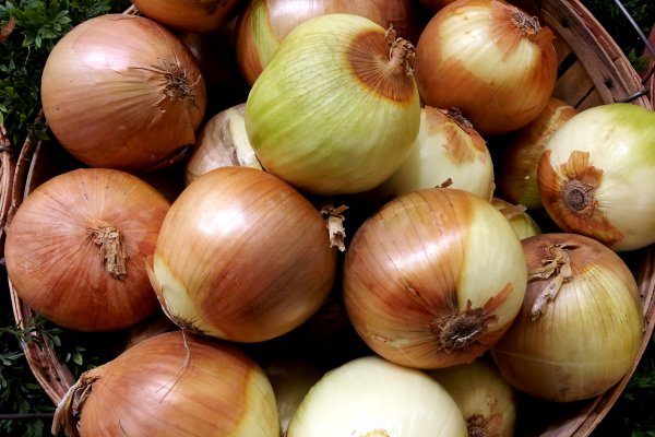 Mega вы забанены mega ssylka onion com