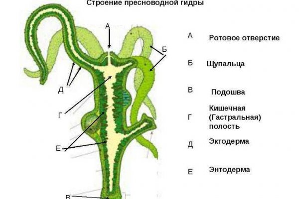 Omg omg вы забанены omg omg ssylka onion com