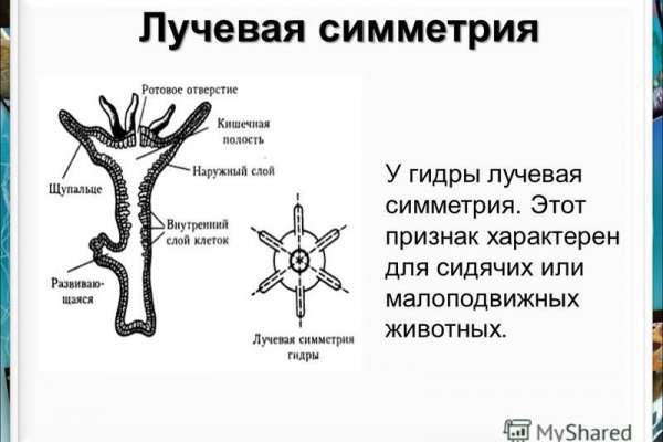 Бошки телеграмм