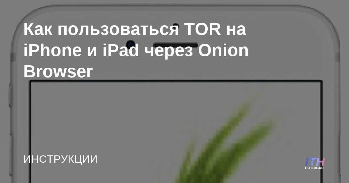 Мега megaruzxpnew4af onion