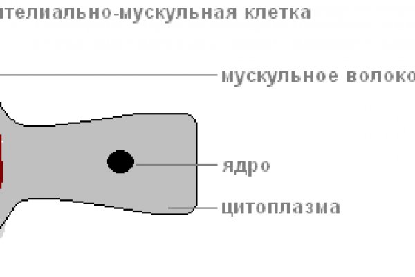 Зеркало кракена тор